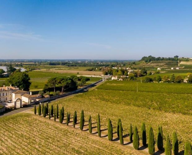Fronsac Wine Region Guide