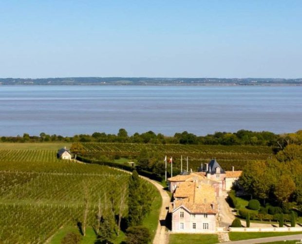 Haut-Medoc Wine Region Guide