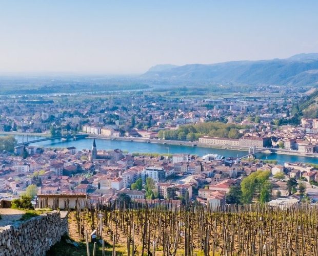 Hermitage Wine Region Guide