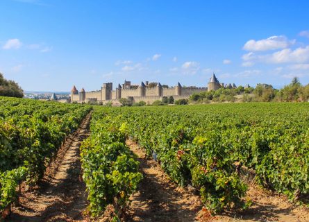 wine-regions - languedoc wine region 001