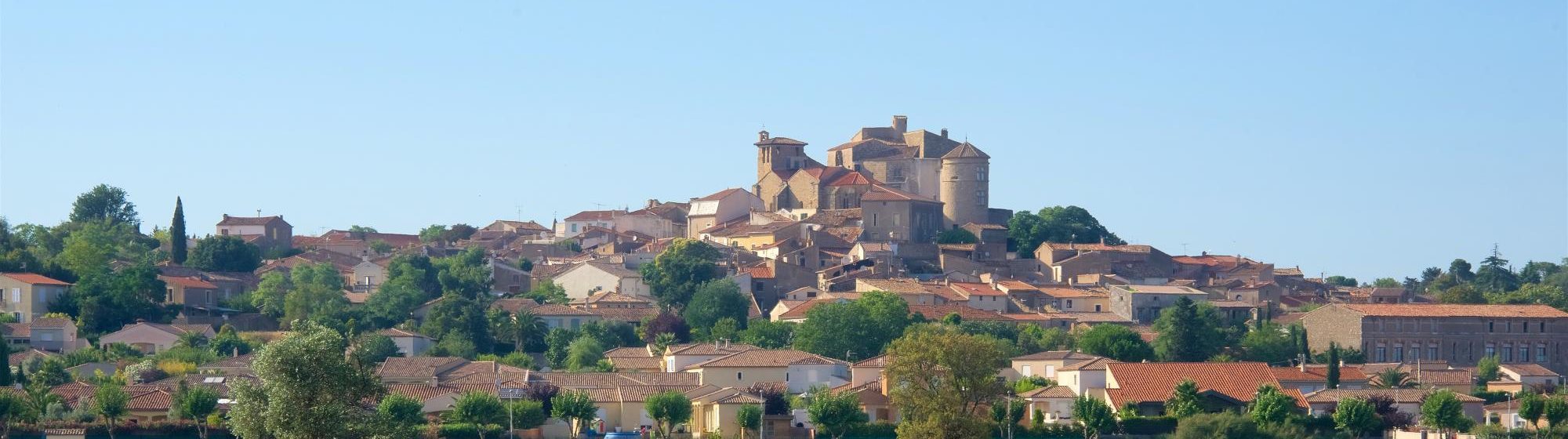 Languedoc-Roussillon Wine Region Guide