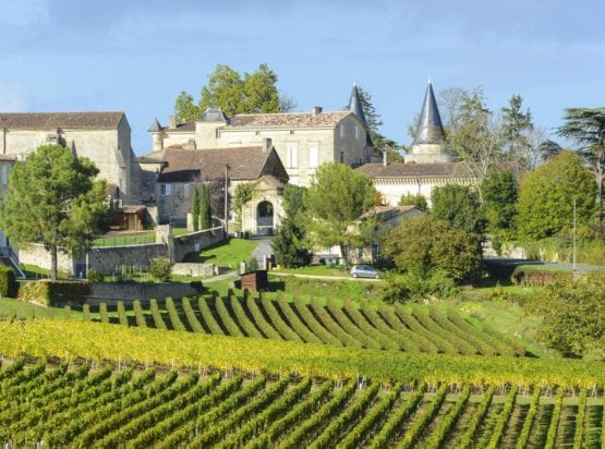 Saint-Émilion Wine Region Guide