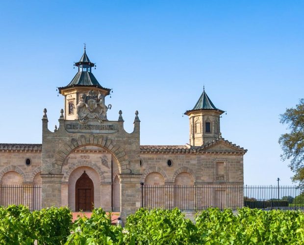 Saint Estephe Wine Region Guide
