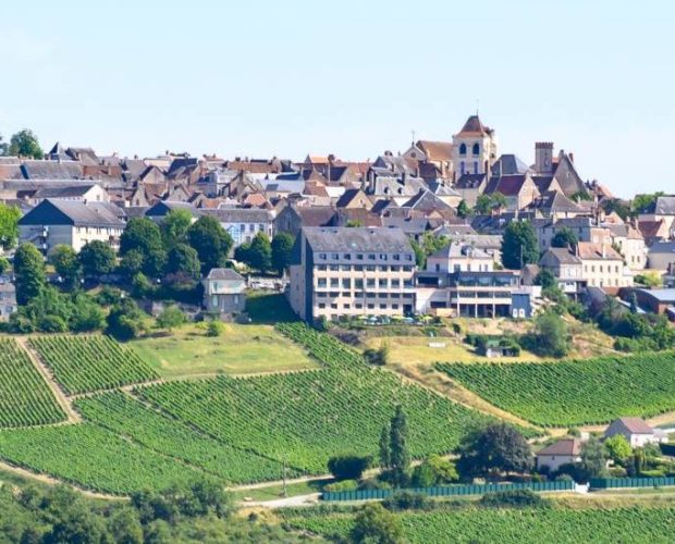 Sancerre Wine Region Guide