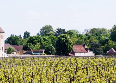 chateau de pommard