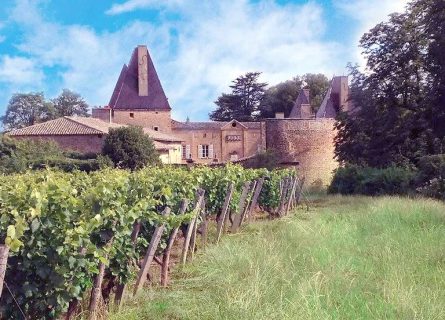 chateau de vinzelles