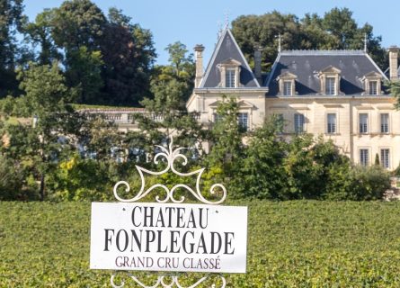 chateau fonplegade