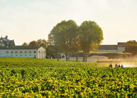 chateau mouton rothschild