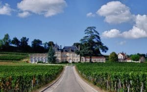 wineries - château-fonplégade