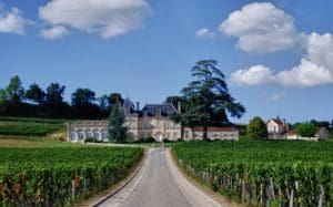 wineries photo wineries - château-fonplégade