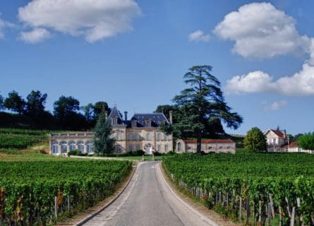 wineries - château-fonplégade