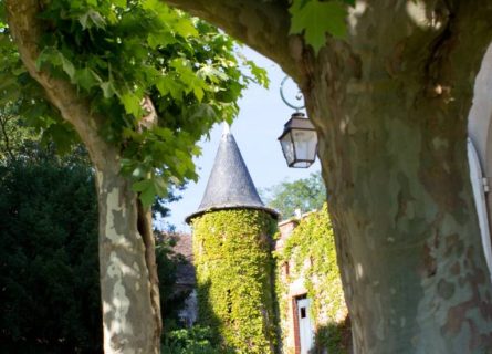 domaine comte senard