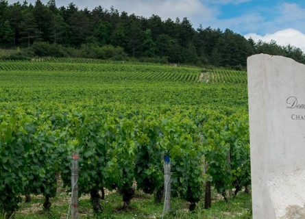 domaine laroche