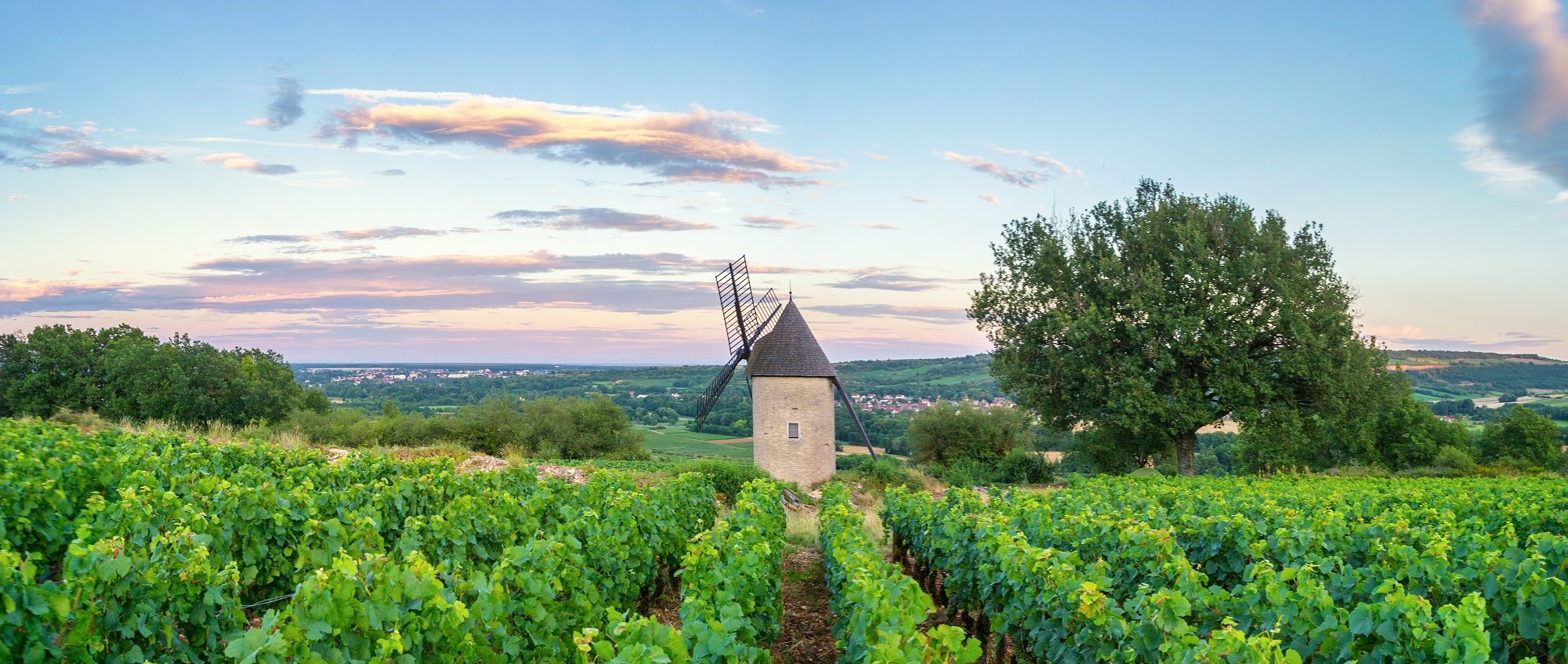 French Wineries for Wine Enthusiasts Cellar Tours™