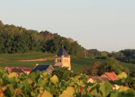 champagne roger coulon