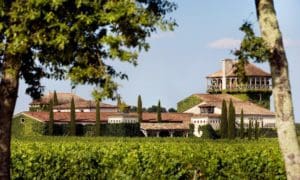 wineries photo wineries - smith-haut-lafitte