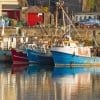 Dingle