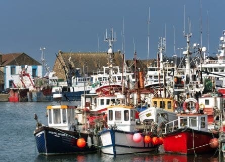 Fishing boats in Howth harbor