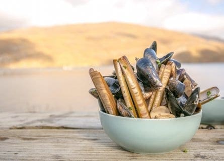 Fresh shell fish from Killary Harbour