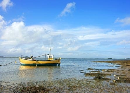 Shunning Clew bay