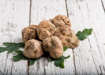 White truffles, a local delicacy