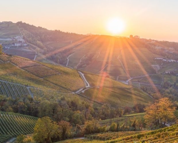 Gattinara and Ghemme Wine Regions Guide