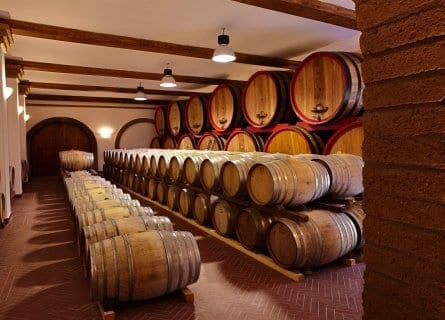 Cellar at Villa Matilde