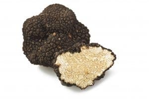 Freshly harvested Black Truffle Freshly harvested Black Truffle