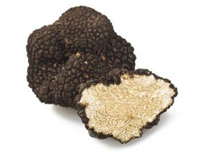 Freshly harvested Black Truffle