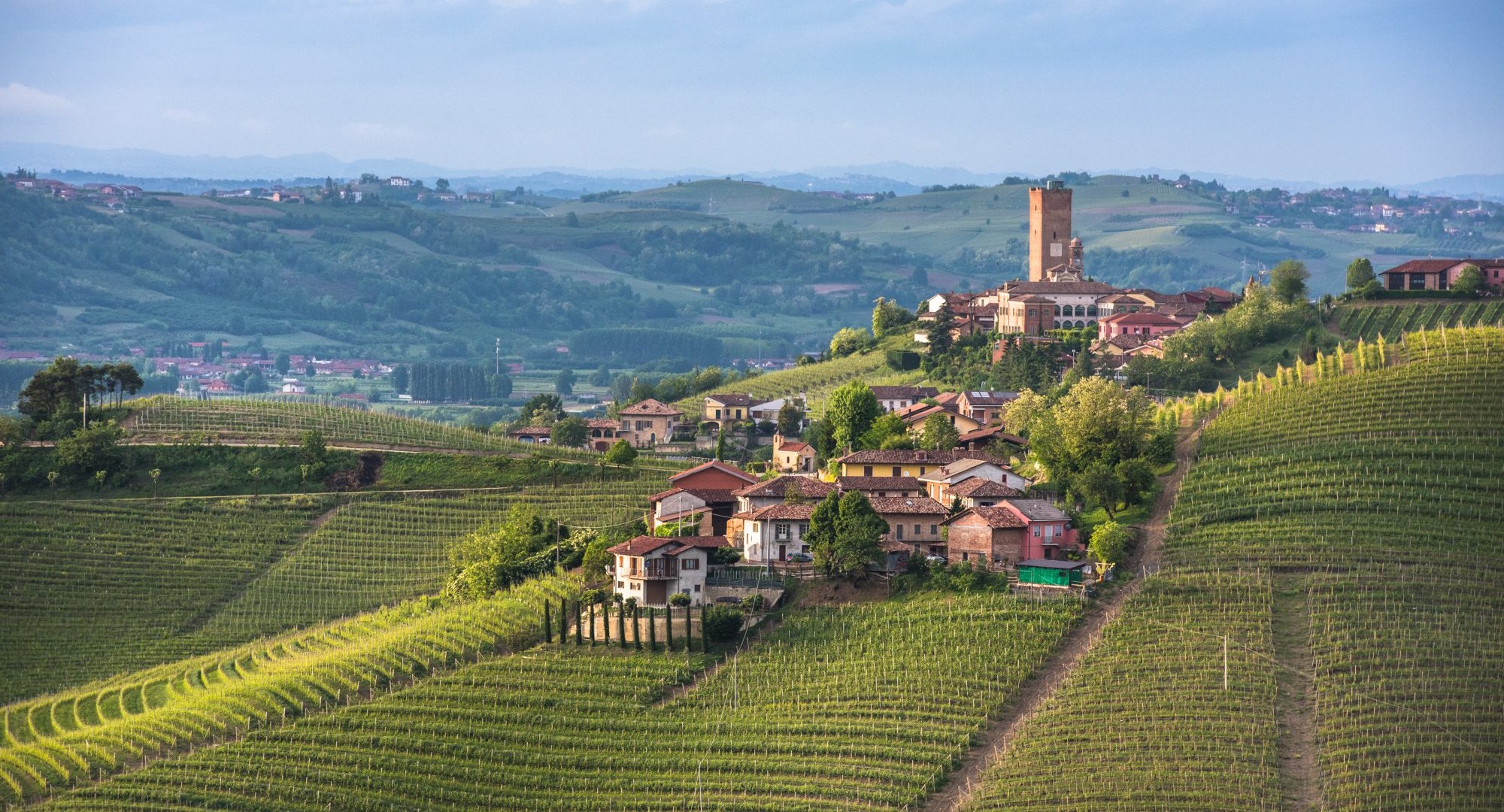 vineyards to visit in barolo