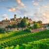 Barolo and Barbaresco Wine Tour