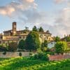 Barolo and Barbaresco Wine Tour