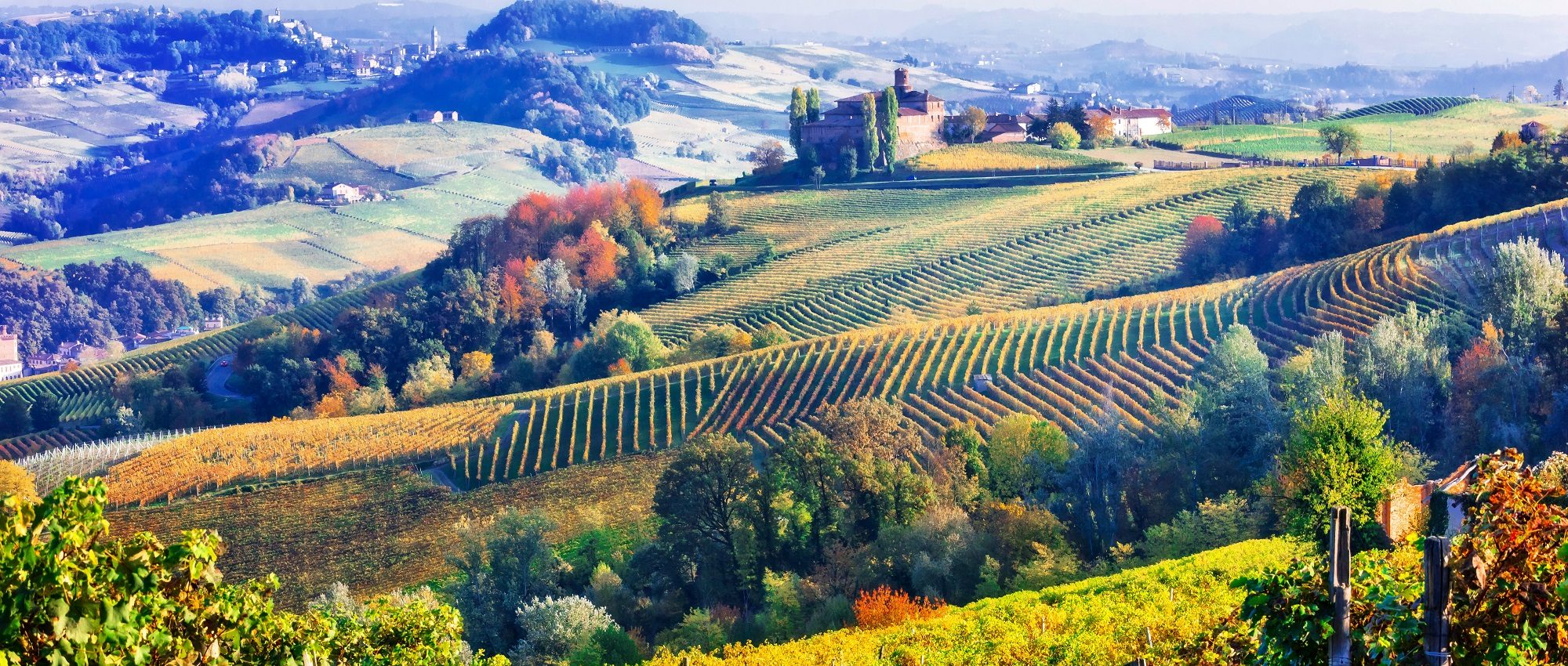 barolo-wine-region-guide-piedmont-cellar-tours