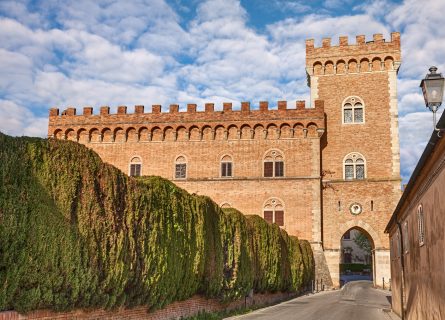 The castle with tower and city gate of Bolgheri (village)