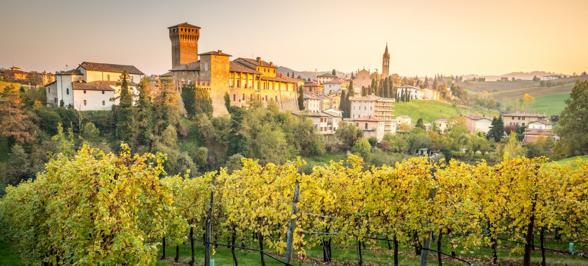 winery tour bologna