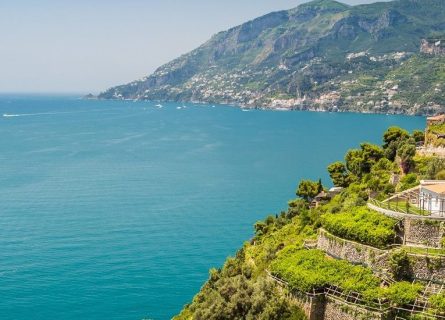campania wine region