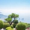 Capri