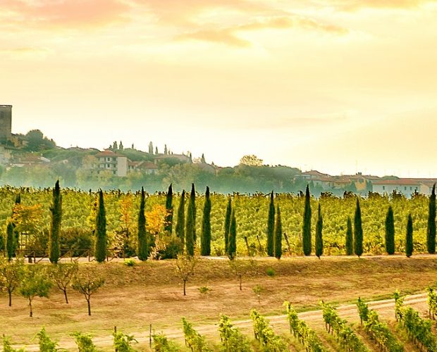 Carmignano Wine Region Guide