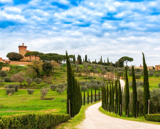 Chianti Classico Wine Region Guide