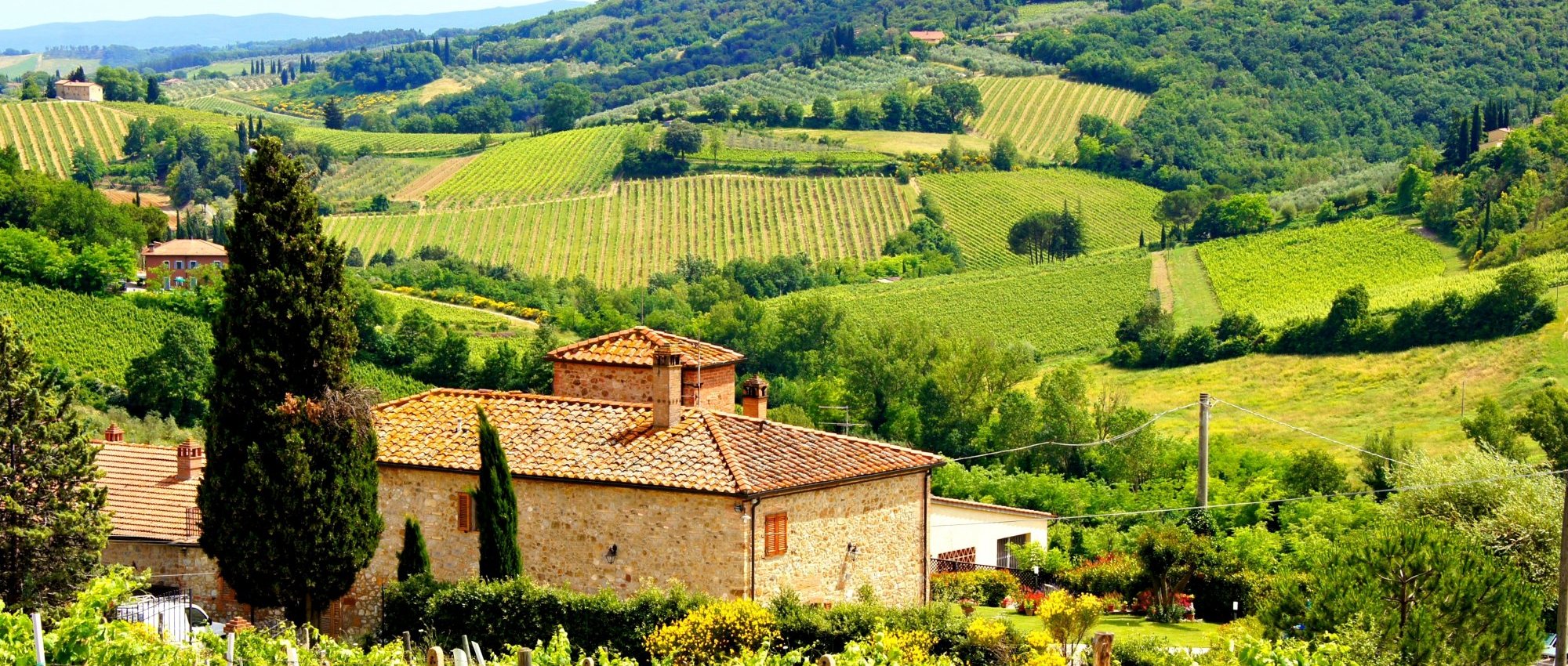 Chianti Wine Tours » Exclusive visits to top Tuscan wineries » CellarTours