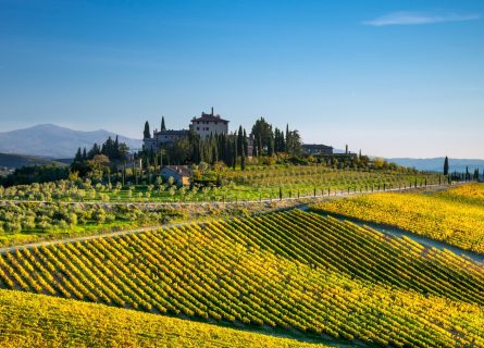 chianti wine tour