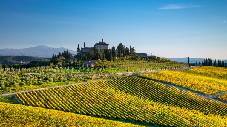 Chianti Classico