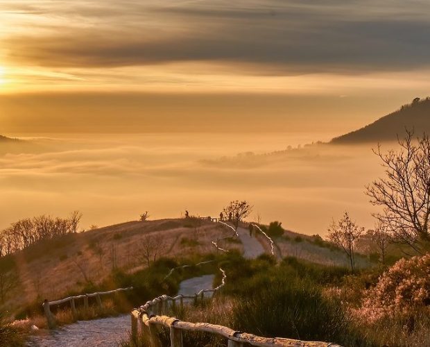Colli Euganei Wine Region Guide