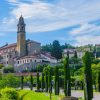 Private Colli Euganei Wine Tour from Padua
