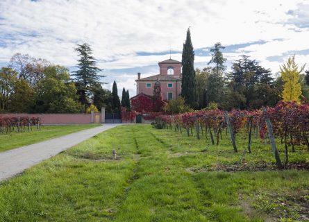 Villa Cialdini: One of the top producers of Lambrusco in the region