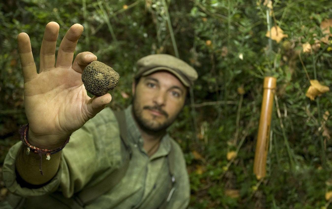 Truffle Hunting