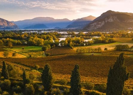 Franciacorta vineyards in the autumn