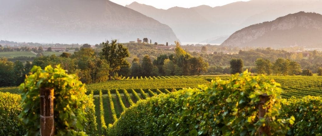 Franciacorta Wine Tour