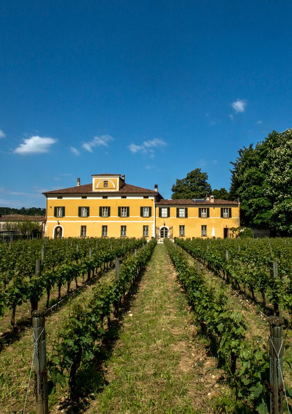 Il Mosnel winery
