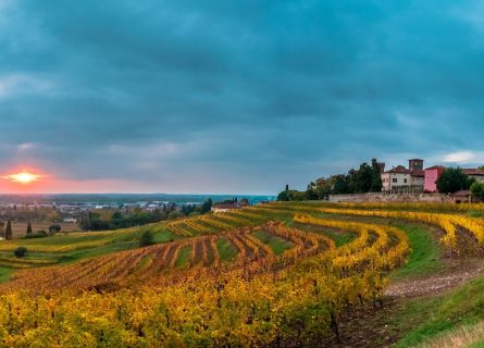 friuli - friuli-venezia-giulia-wine-region
